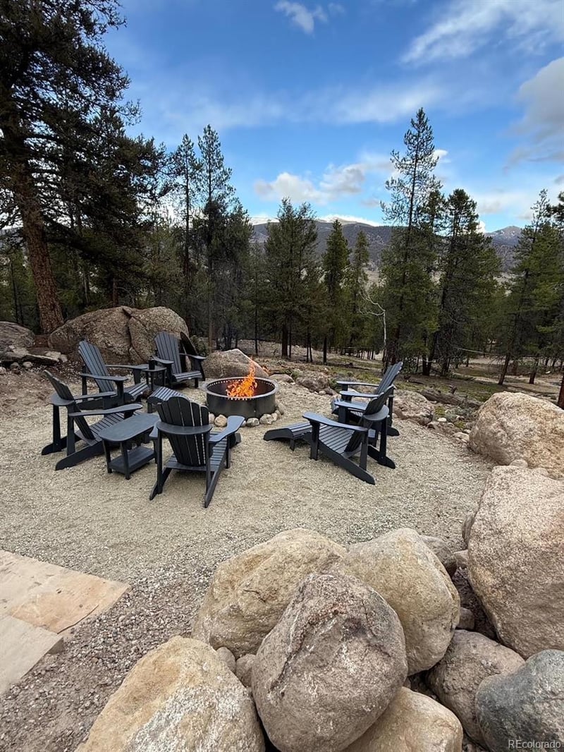 640 Edward E Hill Dr, Twin Lakes, CO 81251