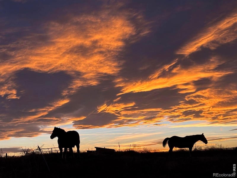 41893 County Road 84, Briggsdale, CO 80611