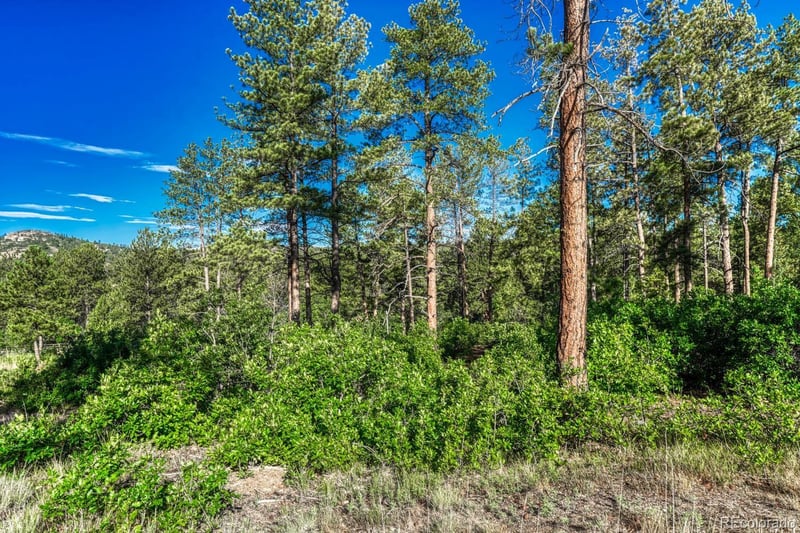 1205 Wildcat Bend Ct, Castle Rock, CO 80108