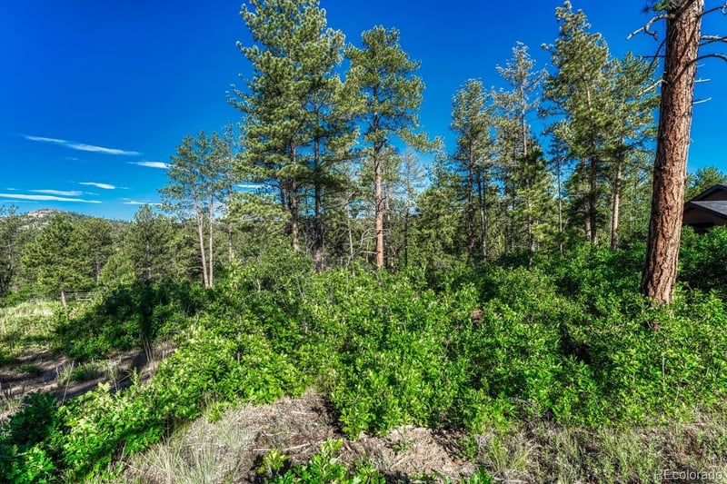 1205 Wildcat Bend Ct, Castle Rock, CO 80108