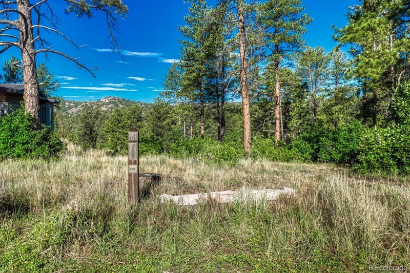 1205 Wildcat Bend Ct, Castle Rock, CO 80108