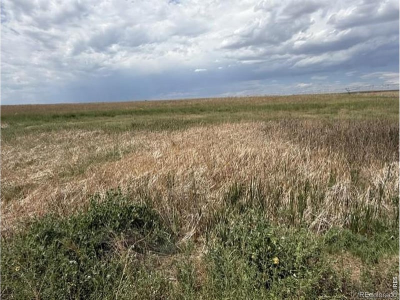 0 County Road 63, Gill, CO 80624