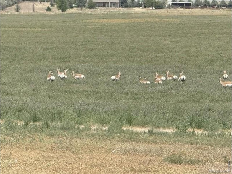 0 County Road 63, Gill, CO 80624