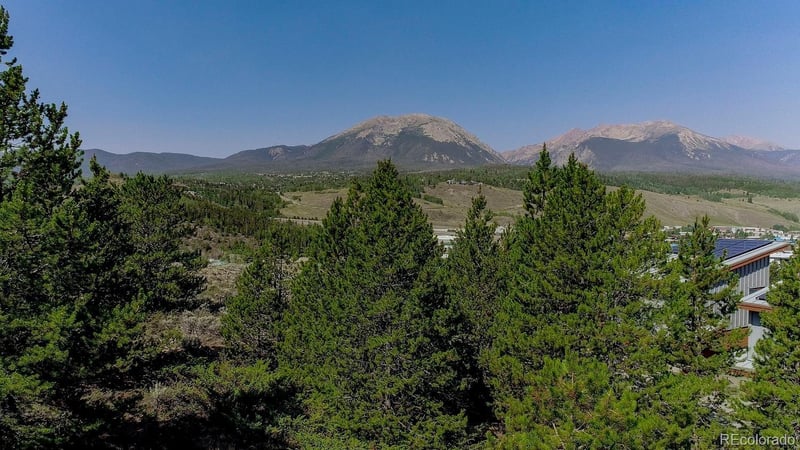 889 E Anemone Trl, Dillon, CO 80435