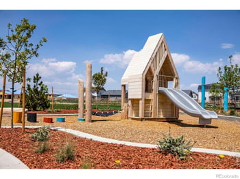 932 Trumpet Ln, Windsor, CO 80550