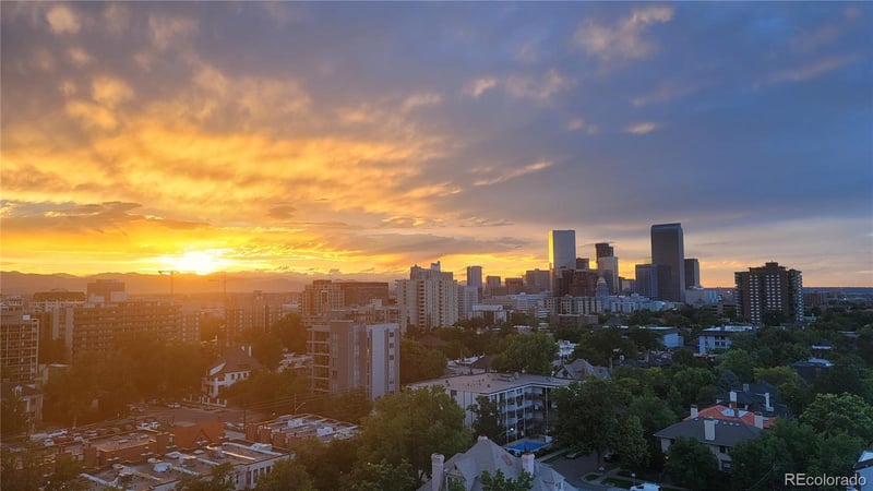 800 N Pearl St #1109, Denver, CO 80203