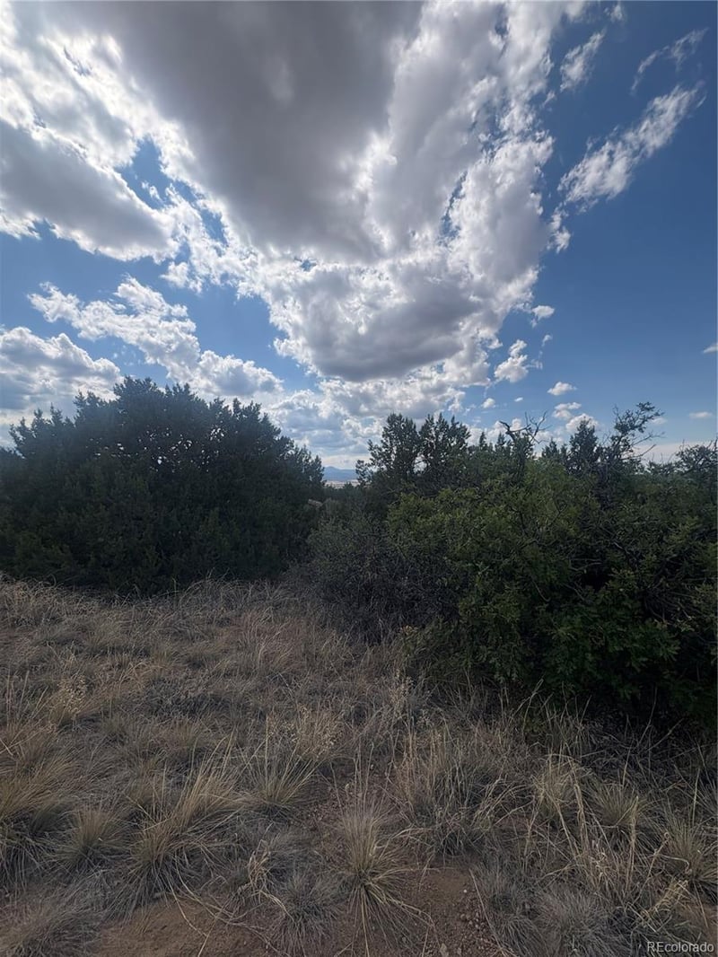 Lot 558 Mount Shavano, Colorado City, CO 81019