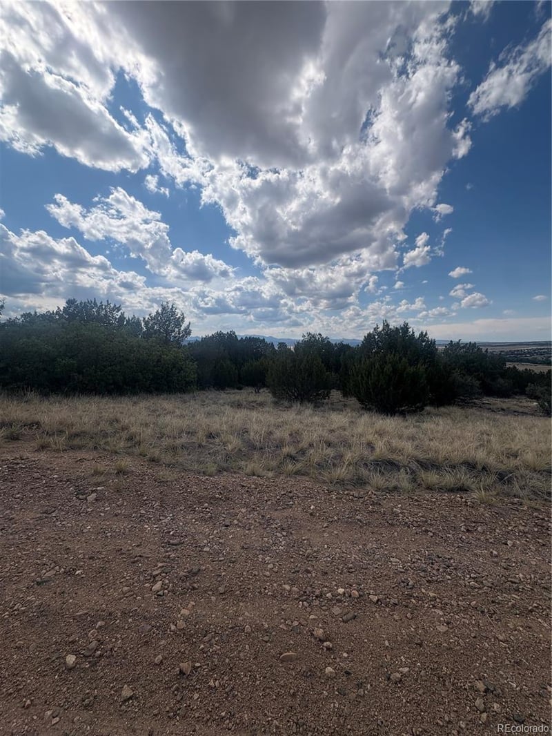 Lot 558 Mount Shavano, Colorado City, CO 81019