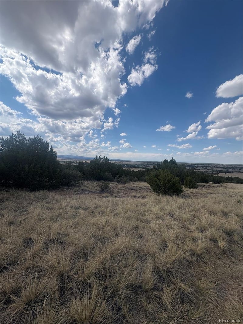Lot 558 Mount Shavano, Colorado City, CO 81019