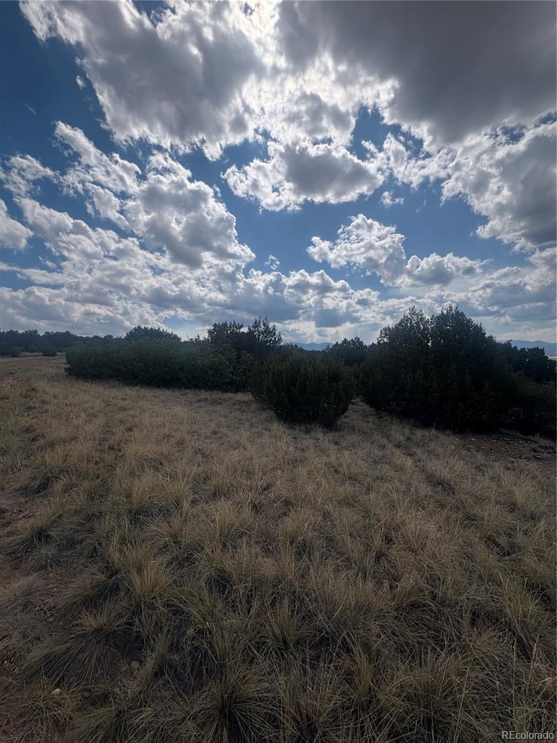 Mount Shavano, Colorado City, CO 81019