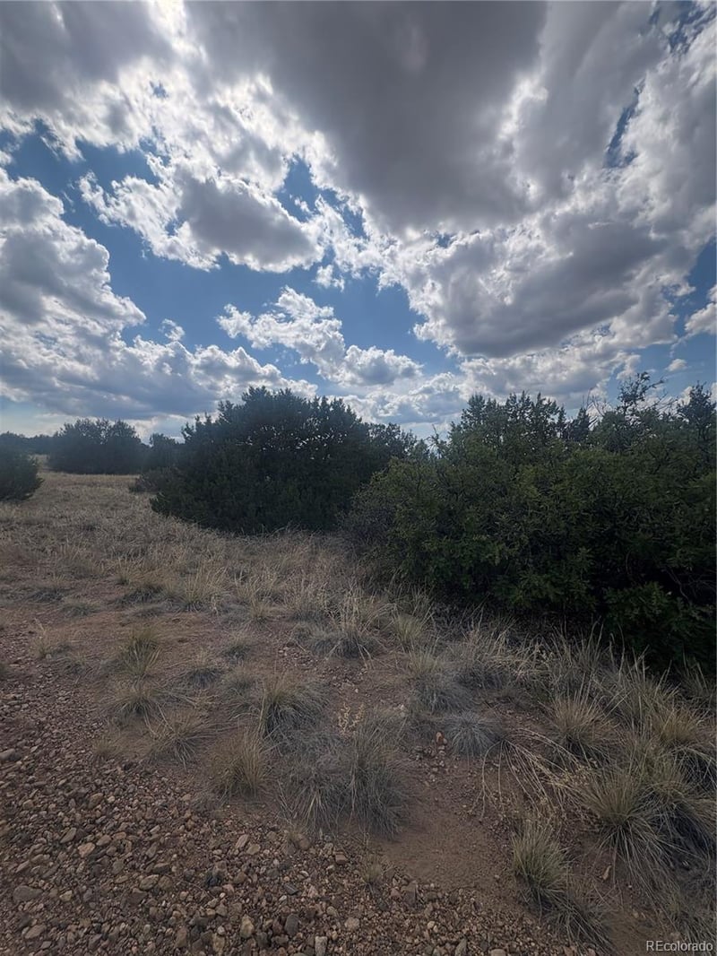 Mount Shavano, Colorado City, CO 81019