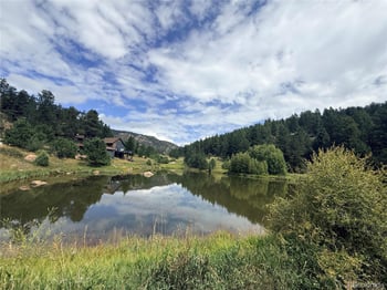 173 Wisp Creek Dr, Bailey, CO 80421