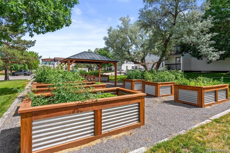532 Oakwood Dr #D103, Castle Rock, CO 80104