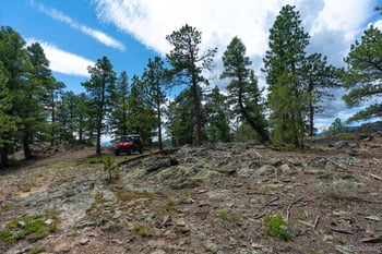 150 Summit Dr, Bailey, CO 80421