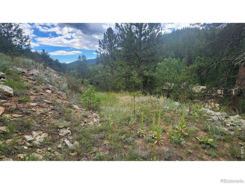0 Streamside Dr, Glen Haven, CO 80532