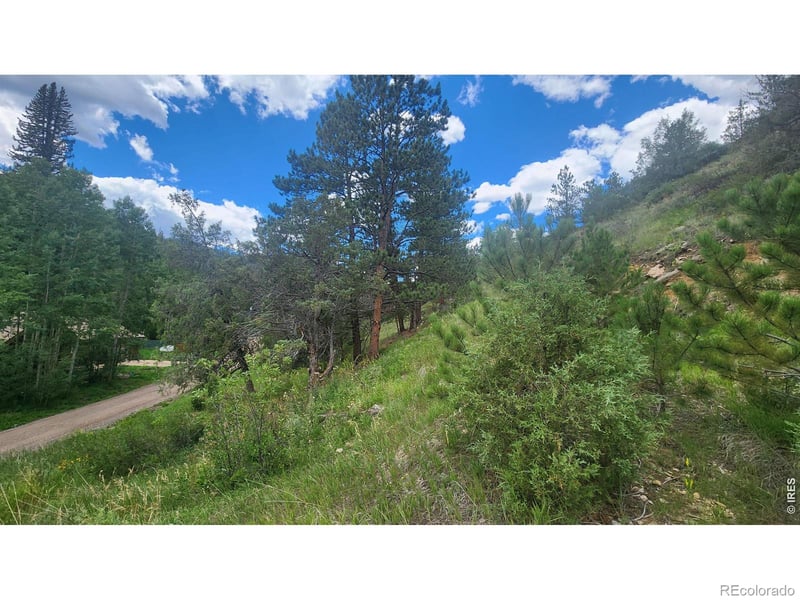 0 Streamside Dr, Glen Haven, CO 80532