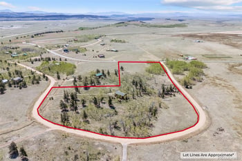 408 Foxtail Ln, Fairplay, CO 80440