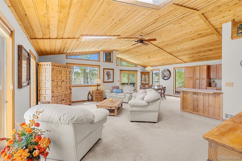 408 Foxtail Ln, Fairplay, CO 80440