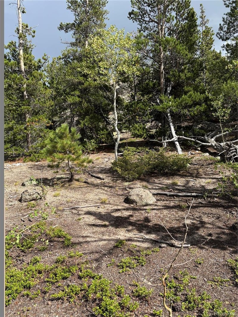 850 Lupine Pl, Black Hawk, CO 80422