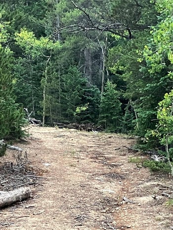850 Lupine Pl, Black Hawk, CO 80422