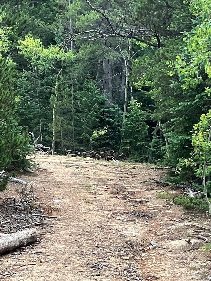 850 Lupine Pl, Black Hawk, CO 80422