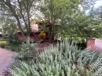 1945 Norwood Ave, Boulder, CO 80304