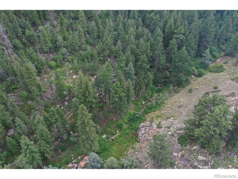 524 Jackelope Ln, Livermore, CO 80536