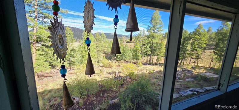 22800 County Road 185 C, Salida, CO 81201