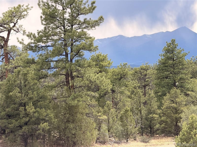 000 41st Trl, Cotopaxi, CO 81223