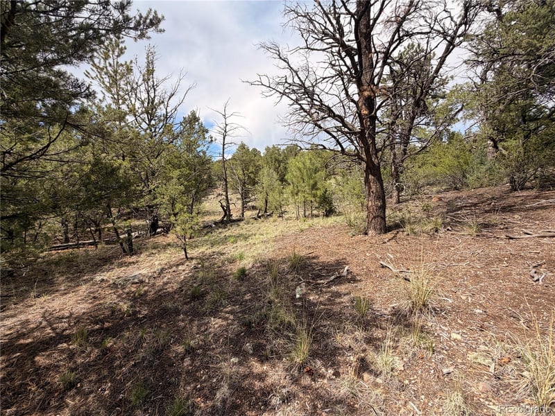 000 41st Trl, Cotopaxi, CO 81223