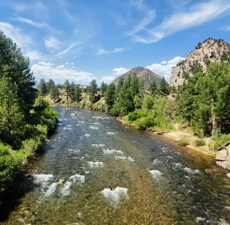 10795 County Road 197a #116, Nathrop, CO 81236