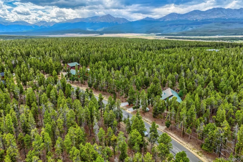 848 Baby Doe Dr, Leadville, CO 80461