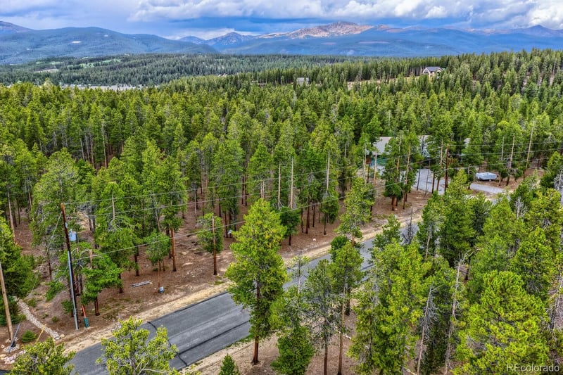 848 Baby Doe Dr, Leadville, CO 80461