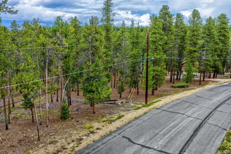 848 Baby Doe Dr, Leadville, CO 80461
