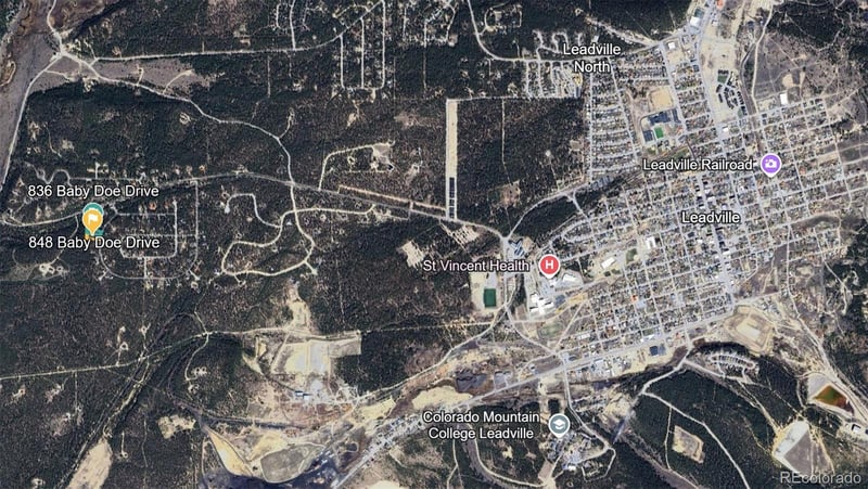 836 Baby Doe Dr, Leadville, CO 80461