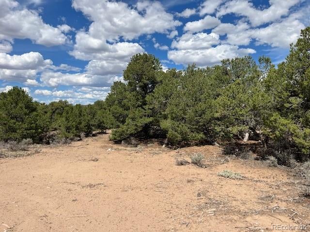 Lot 8 Coyote Ct, San Luis, CO 81152