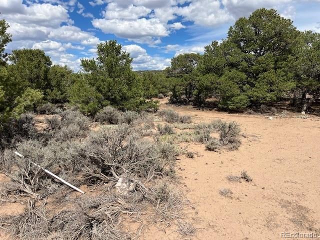 Lot 8 Coyote Ct, San Luis, CO 81152