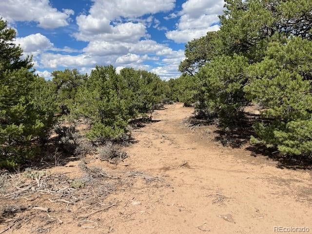 Lot 8 Coyote Ct, San Luis, CO 81152