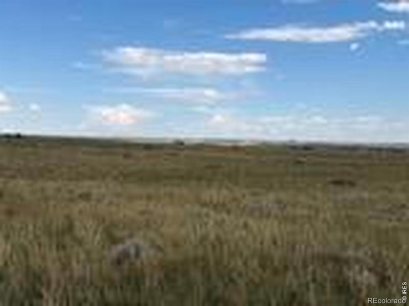 Niobara Ridge Rd, Laporte, CO 80535