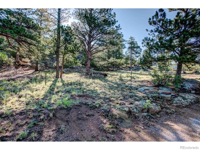 2710 Sunset Ln, Estes Park, CO 80517