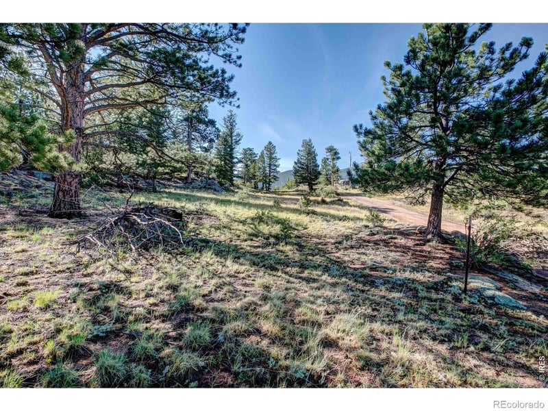 2710 Sunset Ln, Estes Park, CO 80517