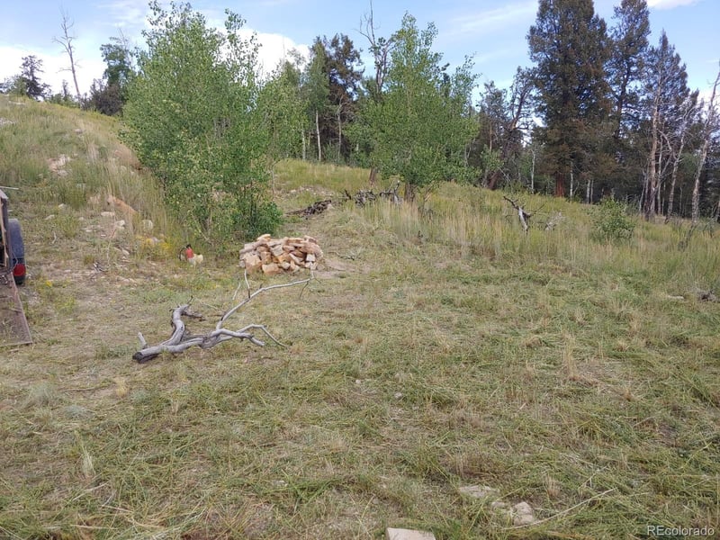 Lot 525 Middle Fork Vi Lot 525, Fairplay, CO 80440