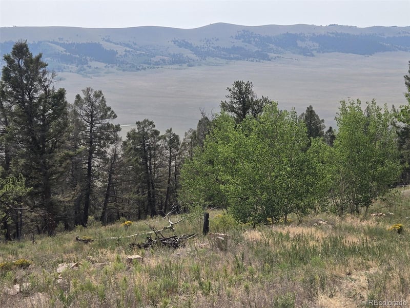 Lot 525 Middle Fork Vi Lot 525, Fairplay, CO 80440