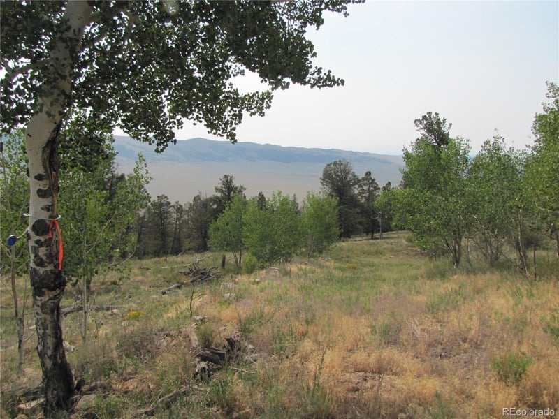 Lot 525 Middle Fork Vi Lot 525, Fairplay, CO 80440