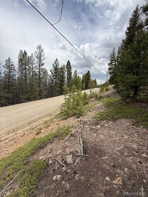 2689 Redhill Rd, Fairplay, CO 80440