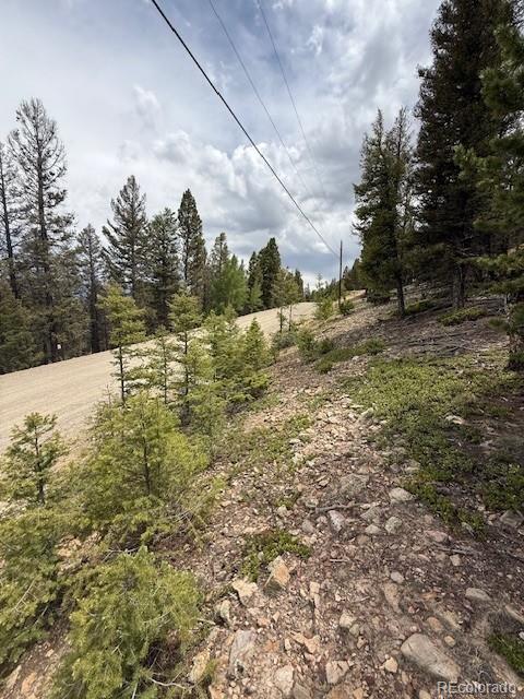2689 Redhill Rd, Fairplay, CO 80440