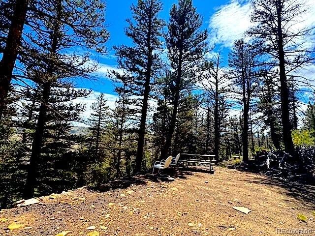 2022 Middle Fork Vi, Fairplay, CO 80440