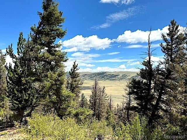 2022 Middle Fork Vi, Fairplay, CO 80440