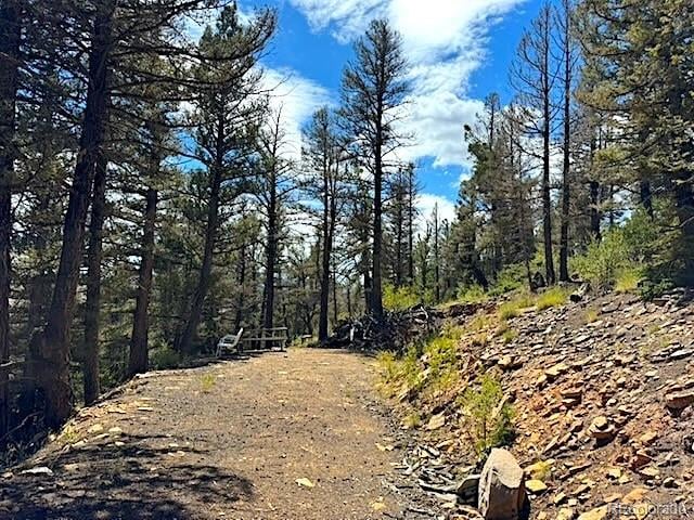 2022 Middle Fork Vi, Fairplay, CO 80440