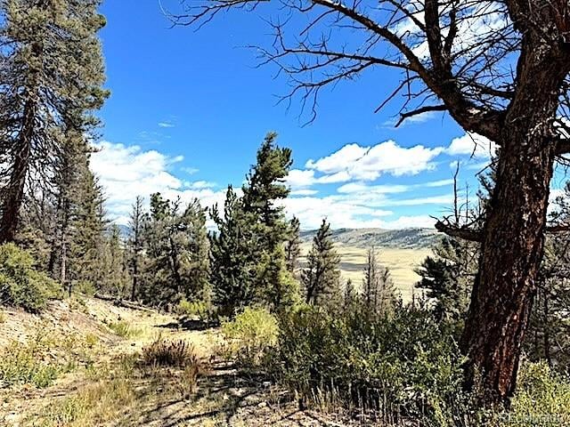 2022 Middle Fork Vi, Fairplay, CO 80440